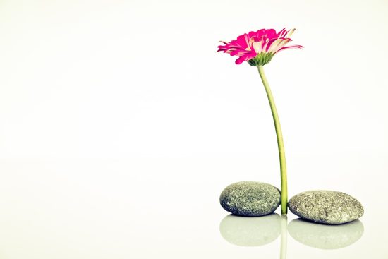 lassen sie sich von kreativen ideen und neuen perspektiven inspirieren. entdecken sie vielfältige inspirationen für ihr leben, ihre projekte und ihre zielsetzungen.