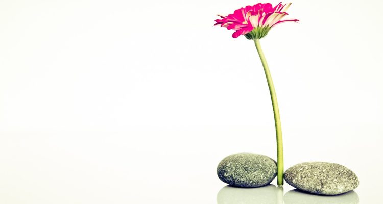 lassen sie sich von kreativen ideen und neuen perspektiven inspirieren. entdecken sie vielfältige inspirationen für ihr leben, ihre projekte und ihre zielsetzungen.