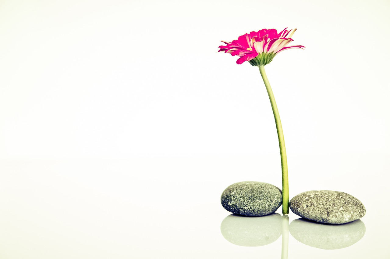 lassen sie sich von kreativen ideen und neuen perspektiven inspirieren. entdecken sie vielfältige inspirationen für ihr leben, ihre projekte und ihre zielsetzungen.