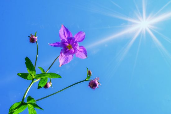 entdecken sie transformative strategien für persönliches wachstum. verbessern sie ihre lebensqualität, entwickeln sie ihre fähigkeiten weiter und erreichen sie ihre ziele mit praktischen tipps und inspirierenden ideen.