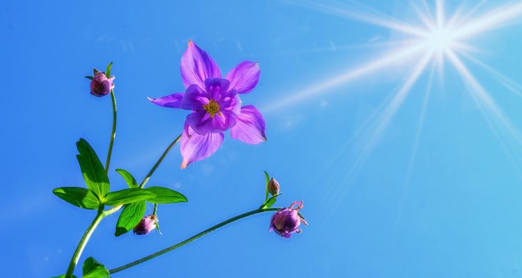 entdecken sie transformative strategien für persönliches wachstum. verbessern sie ihre lebensqualität, entwickeln sie ihre fähigkeiten weiter und erreichen sie ihre ziele mit praktischen tipps und inspirierenden ideen.