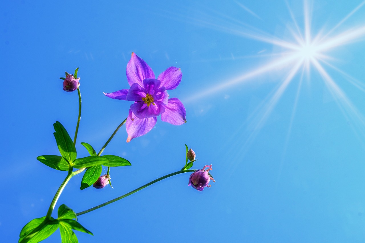 entdecken sie transformative strategien für persönliches wachstum. verbessern sie ihre lebensqualität, entwickeln sie ihre fähigkeiten weiter und erreichen sie ihre ziele mit praktischen tipps und inspirierenden ideen.