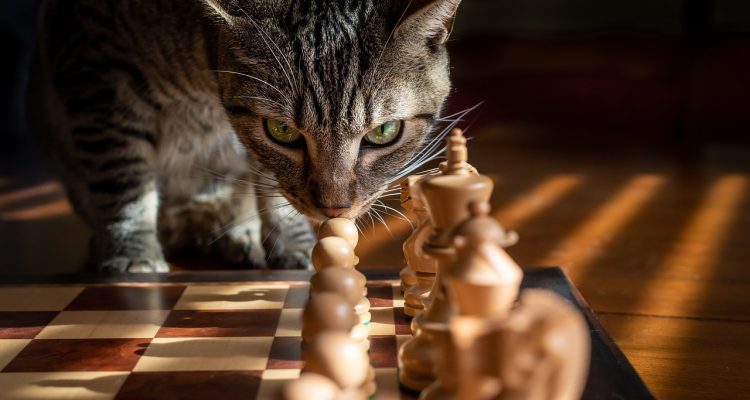 entdecken sie effektive digitale strategien zur optimierung ihres unternehmens. lernen sie, wie sie modernes marketing, technologien und datenanalyse nutzen können, um ihre online-präsenz zu steigern und nachhaltigen erfolg zu erzielen.