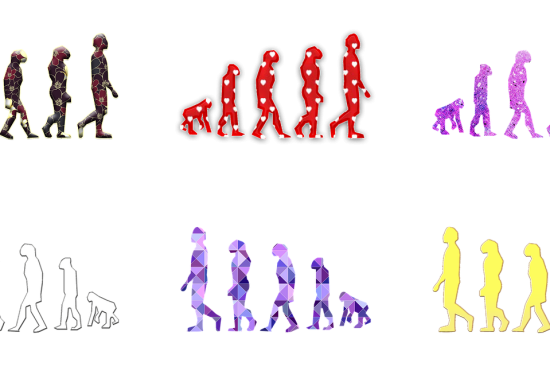 entdecken sie die faszinierenden aspekte der evolution: von den ursprüngen des lebens bis zu den vielfältigen anpassungen der arten. erfahren sie, wie sich das leben auf der erde im laufe der jahrmillionen verändert hat und welche rolle natürliche selektion dabei spielt.