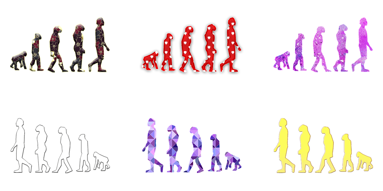 entdecken sie die faszinierenden aspekte der evolution: von den ursprüngen des lebens bis zu den vielfältigen anpassungen der arten. erfahren sie, wie sich das leben auf der erde im laufe der jahrmillionen verändert hat und welche rolle natürliche selektion dabei spielt.