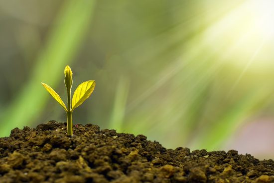 entdecken sie die geheimnisse des erfolgs! erfahren sie, wie sie ihre ziele erreichen und persönliches sowie berufliches wachstum fördern können. lassen sie sich von bewährten strategien und inspirierenden geschichten motivieren, um den erfolg in ihrem leben zu verwirklichen.