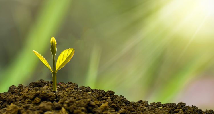 entdecken sie die geheimnisse des erfolgs! erfahren sie, wie sie ihre ziele erreichen und persönliches sowie berufliches wachstum fördern können. lassen sie sich von bewährten strategien und inspirierenden geschichten motivieren, um den erfolg in ihrem leben zu verwirklichen.