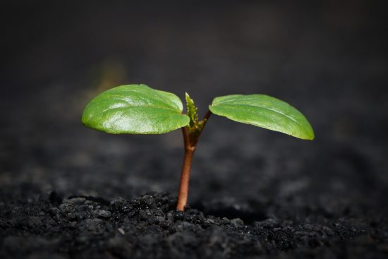 entdecken sie effektive strategien und techniken zur persönlichen entwicklung, um ihr volles potenzial auszuschöpfen und ihre lebensziele zu erreichen.