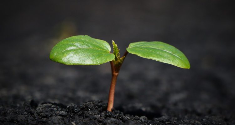 entdecken sie effektive strategien und techniken zur persönlichen entwicklung, um ihr volles potenzial auszuschöpfen und ihre lebensziele zu erreichen.