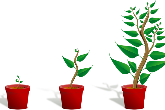 entdecken sie effektive strategien zur verkaufssteigerung und maximieren sie ihr geschäftswachstum. verbessern sie ihre umsätze durch innovative techniken und praxisnahe tipps.