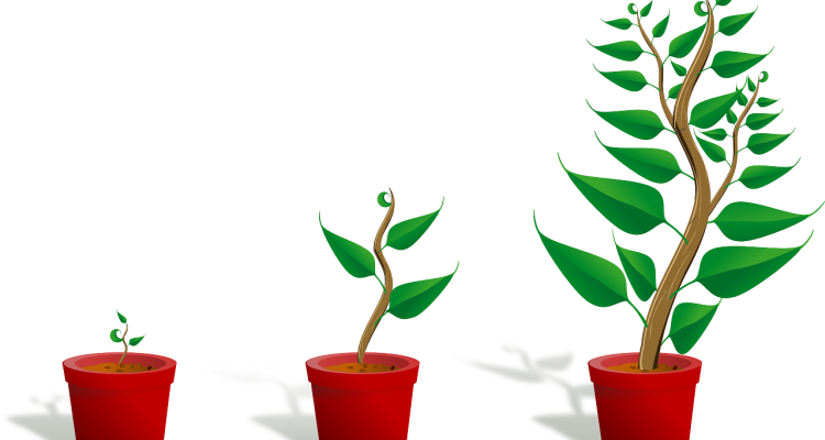entdecken sie effektive strategien zur verkaufssteigerung und maximieren sie ihr geschäftswachstum. verbessern sie ihre umsätze durch innovative techniken und praxisnahe tipps.