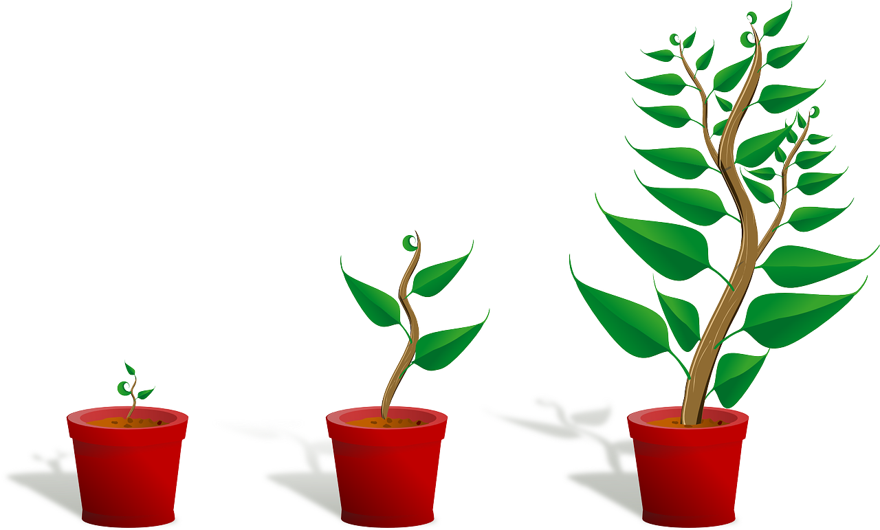 entdecken sie effektive strategien zur verkaufssteigerung und maximieren sie ihr geschäftswachstum. verbessern sie ihre umsätze durch innovative techniken und praxisnahe tipps.