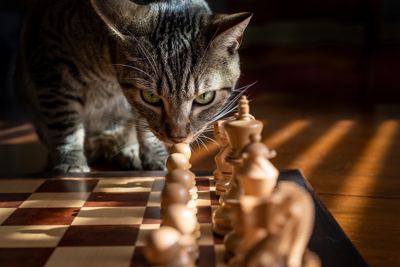 entdecken sie effektive kommerzielle strategien, um ihr unternehmen zu optimieren, den umsatz zu steigern und langfristigen erfolg zu sichern. erfahren sie, wie sie märkte analysieren, zielgruppen identifizieren und maßgeschneiderte lösungen entwickeln können.