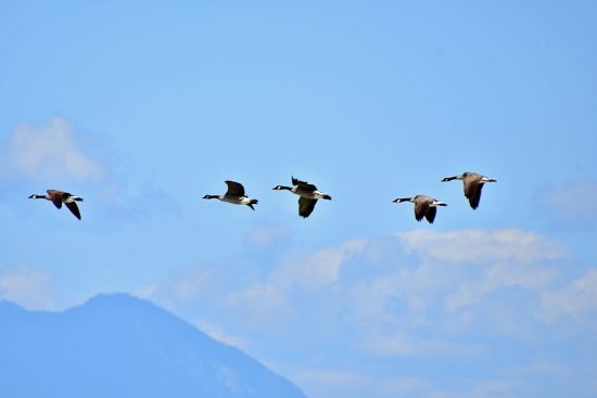 entdecken sie inspirierende führungskompetenzen, die teams motivieren und unternehmen voranbringen. erfahren sie, wie visionäre führungskräfte veränderungen bewirken und ihre mitarbeiter zur höchstleistung anregen.