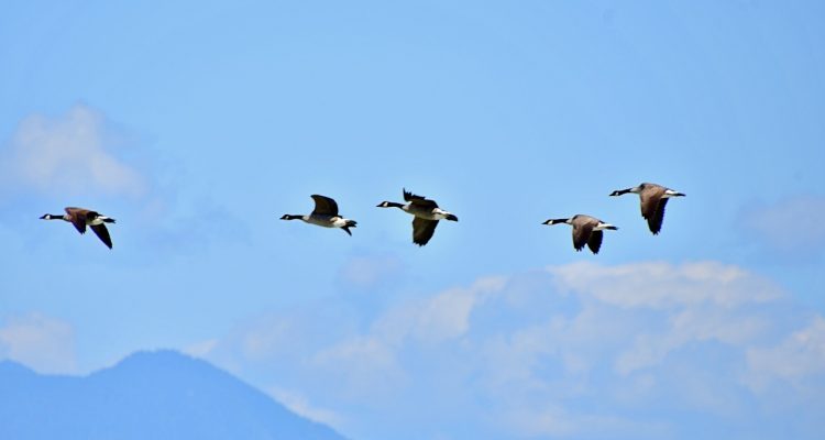 entdecken sie inspirierende führungskompetenzen, die teams motivieren und unternehmen voranbringen. erfahren sie, wie visionäre führungskräfte veränderungen bewirken und ihre mitarbeiter zur höchstleistung anregen.