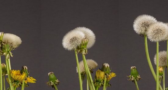 entdecken sie effektive strategien zur persönlichen entwicklung. verbessern sie ihre fähigkeiten, steigern sie ihr selbstbewusstsein und erreichen sie ihre ziele mit bewährten methoden und praktiken.