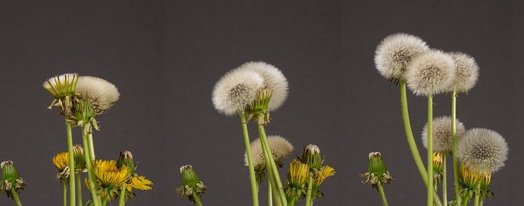 entdecken sie effektive strategien zur persönlichen entwicklung. verbessern sie ihre fähigkeiten, steigern sie ihr selbstbewusstsein und erreichen sie ihre ziele mit bewährten methoden und praktiken.