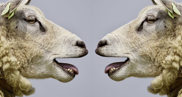 entdecken sie effektive kommunikationsstrategien, die ihnen helfen, ihre botschaften klar und überzeugend zu vermitteln. optimieren sie ihre zwischenmenschlichen fähigkeiten und fördern sie positive beziehungen in ihrem persönlichen und beruflichen umfeld.